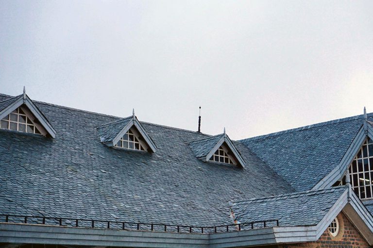 Prevent costly repairs: Essential roof care tips every homeowner needs