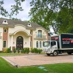 Factors to consider when moving your garden plants