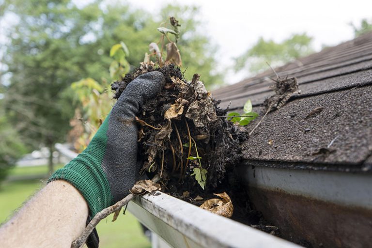 The importance of gutter cleaning
