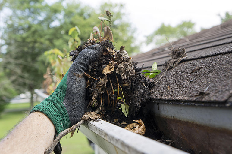 The importance of gutter cleaning
