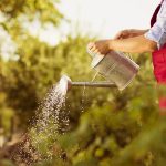 6 ideas for creating a profitable small farm