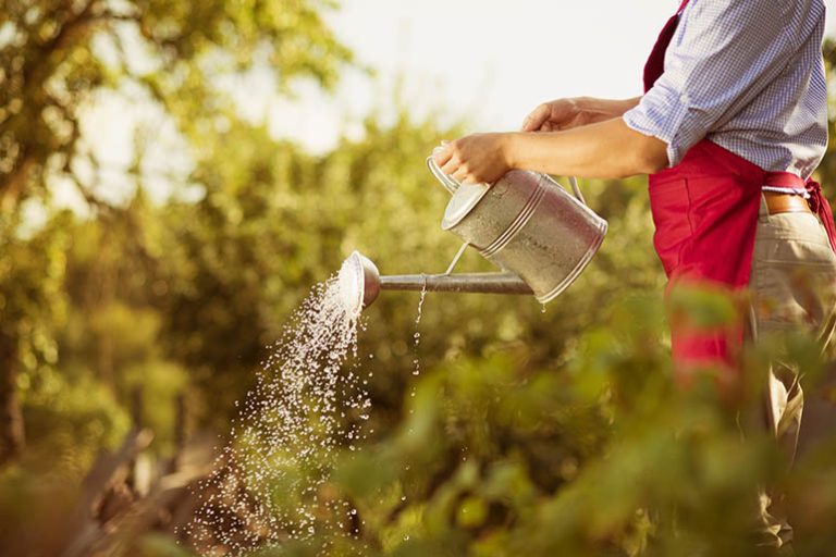 6 ideas for creating a profitable small farm