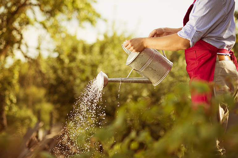 6 ideas for creating a profitable small farm