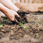 What are the requirements to start gardening at home