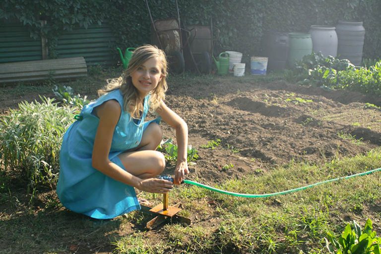 How to prepare your garden for spring?