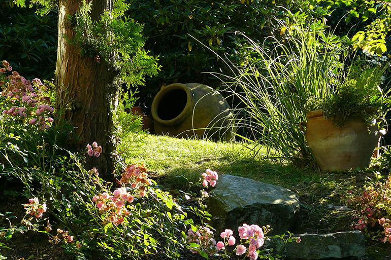 How to transform your neglected garden into an outdoor oasis
